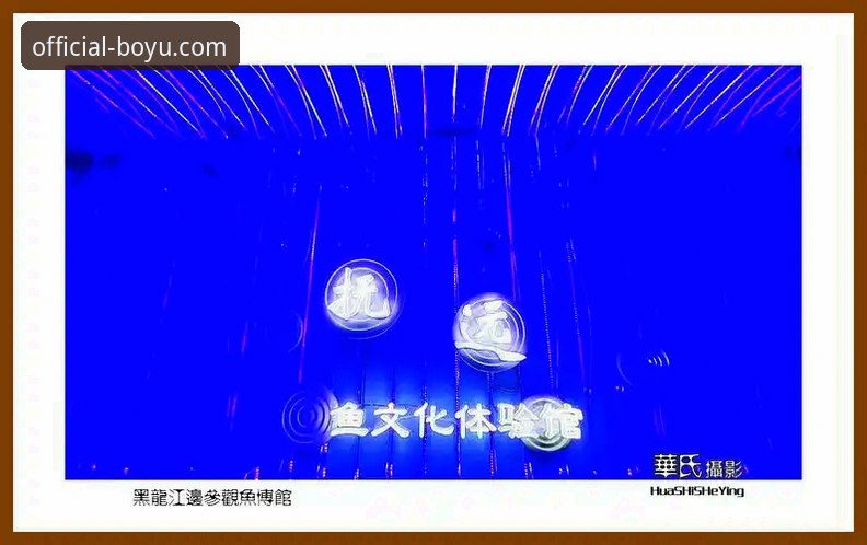 揭秘博鱼体育下载链接背后的选择逻辑：你不知道的正版客户端真相